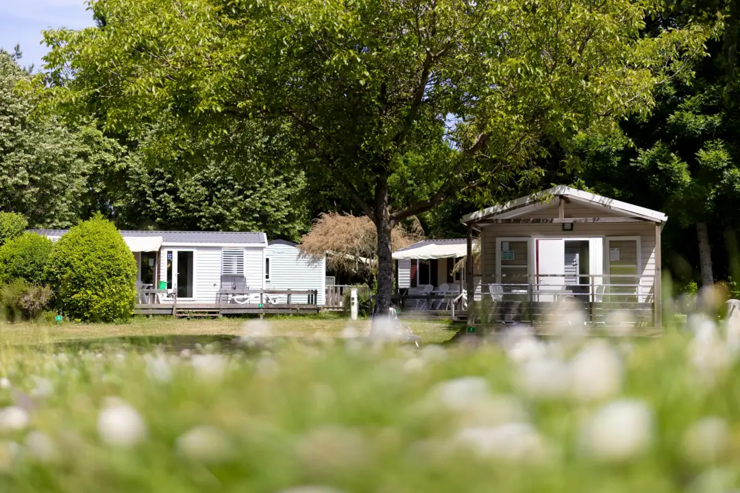 belle etoile 2025 001