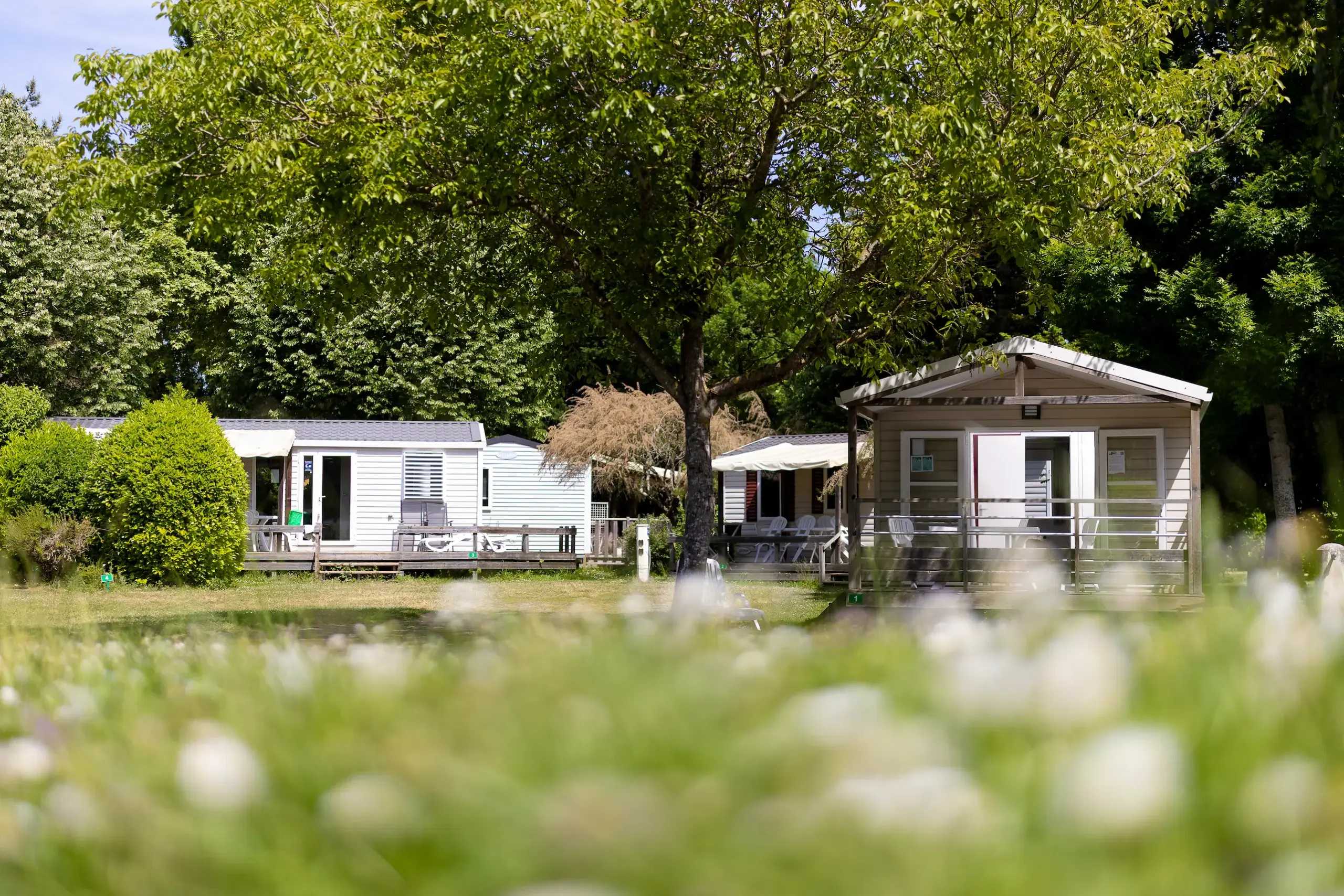 belle etoile 2025 001